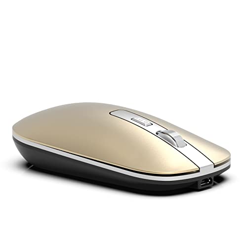 Inca Souris IWM-531RS 1600 DPI, Wrls & BT, Spec Metalilic SL
