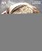 Produktbild Brot backen