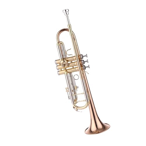 �y��g�����y�b�g ���S�Ҍ����̋⃁�b�LB�t���b�g�g�����y�b�g�y��A����������(Color:Phosphor bronze)