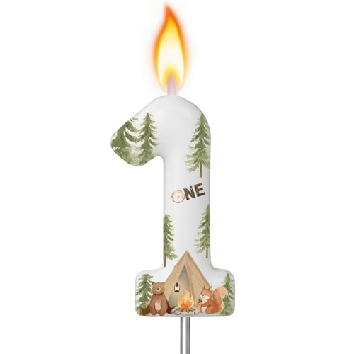 MTLEE Camper 1 Candle for First Birthday Cute Camping Number 1 Candle Camping Numeral Birthday Cake Toppers Party Decorations for 1st Anniversary Party Supplies