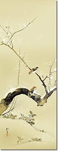 Amazon.co.jp: 掛け軸 掛軸 酒井 抱一（さかいほういつ）・ 梅、雀