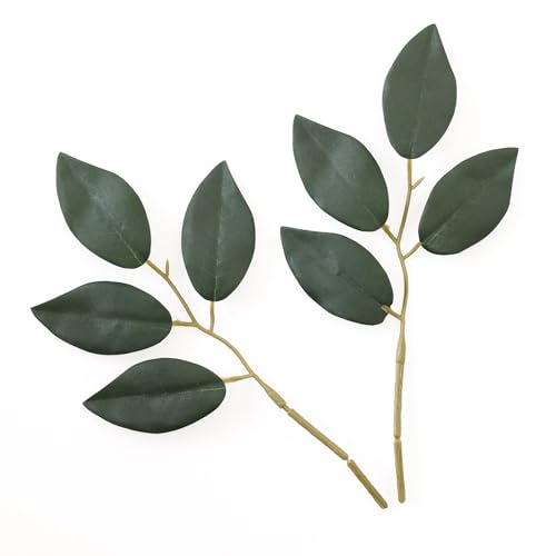 ܂   lt  _Ip  20cm TJL  _