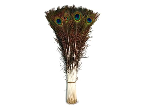 10 Pieces - 30-35" Natural Long Iridescent Peacock Tail Eye Feather Centerpiece, Vase, Halloween Costume | Moonlight Feather #TOP23