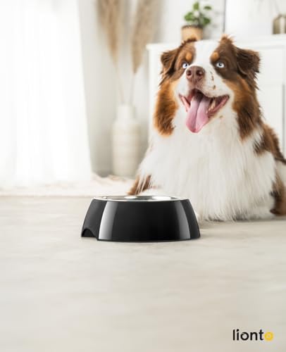 lionto Futternapf aus Melamin mit Anti-Rutsch Boden, herausnehmbarer 940 ml Napf aus robustem & geruchsneutralem Edelstahl, leicht zu reinigen, ergonomisches Design, für Hunde & Katzen, schwarz
