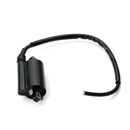 Bobina de encendido para 250cc y 450cc elimina fallos de chispa 6