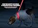 ILLUMISEEN LED Dog Collar USB Rechargeable - Bright & High Visibility Lighted Glow Collar for Pet Night Walking - Weatherproof, in 6 Colors & 6 Sizes (Red X-Small)