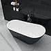 67'' Black Acrylic Freestanding Bathtub | Soaking Tub with Overflow Drain | Deep Soak Luxury Bathtub for Adults | Modern Standalone Bathtub with Tool-Free Installation Allure
