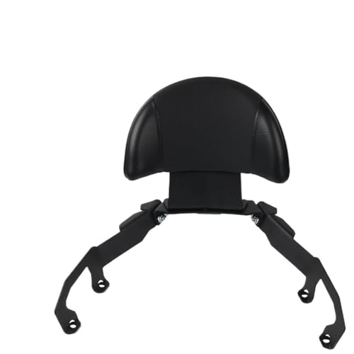 Dossier Forza 350 évite fatigue passager support arrière coussin