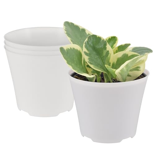 Arcadia Garden Products 4-Pack Plastic Pot, Fits [ 6” Azalea
