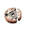 4 Stroke Clutch Plate
