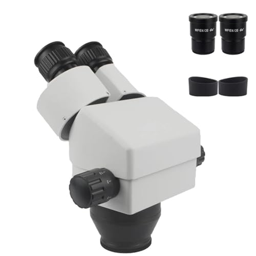Oculaire à grand champ WF10X/20mm sur microscope binoculaire stéréo 7X-45X blanc