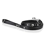 MICHUR OUR WORLD OF PETS FINEST