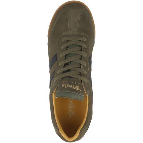 Image of Gola Harrier