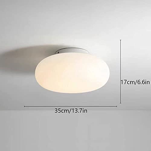 Luces de techo led dimables WQHPLMD de estilo nórdico y cúpula redonda 4