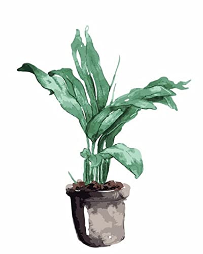 Peinture au Diamant 5D Plantes en Pot - Kit d'Art Complet en Strass 30x40cm