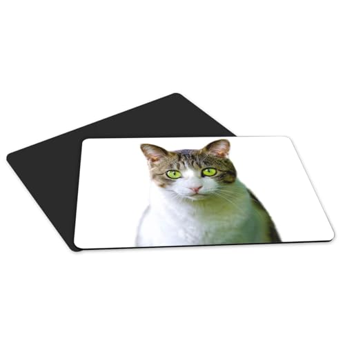 Set de table chat grand format antidérapant pour protéger des rayures - 5