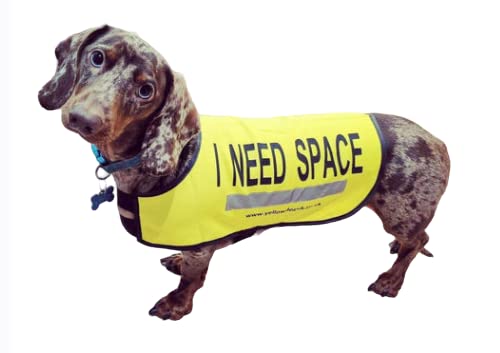 Yellow Dog UK Dog Vest - I NEED SPACE (Extra Small)