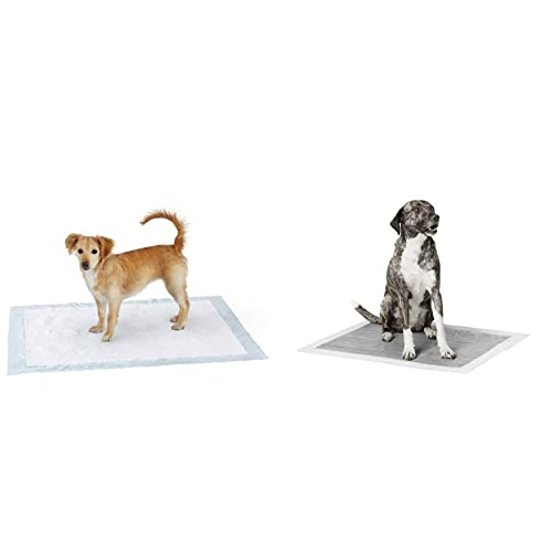 Image of AmazonBasics Pet Training Pads Extra-Large - 60-Count & Carbon Pet Training Pads (Extra Large - 30 Count)