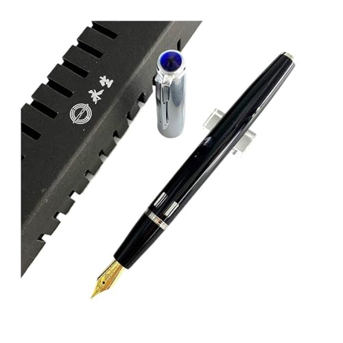 Stylo-plume cadeau PURYN à piston avec fenêtre transparente pour signature et calligraphie