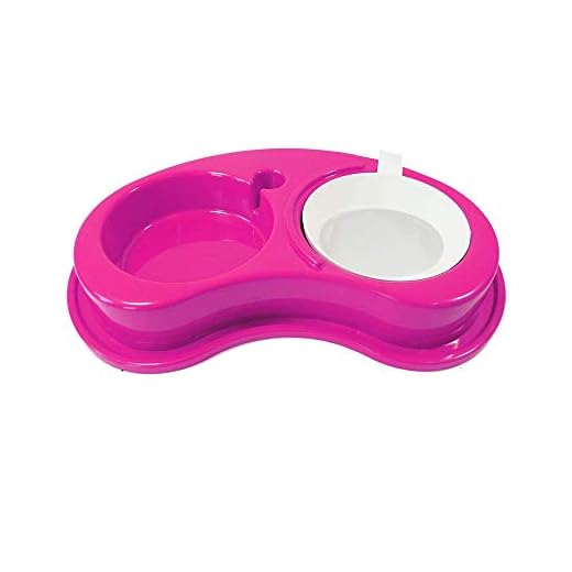 Comedouro Plástica Anti-Formiga Luxo Duplo, Tamanho G Rosa Furacão Pet para Cães