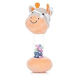 Giraffe Rain Stick Rattle: Playful Learning