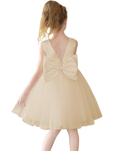 Puffy Tulle Flower Girl Dresses Girls Pretty Pageant for Wedding Guest First Communion Dress with Bowknot