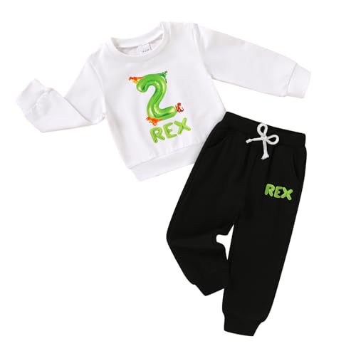 Toddler Baby Boy Clothes Fall Winter Outfits 1st 2nd 3rd Birthday Boy Outfit Sweatshirt Sweat Pants Set Sweatsuit