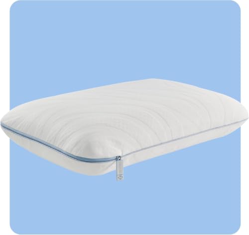 Sealy Dreamlife Queen Cooling Pillow