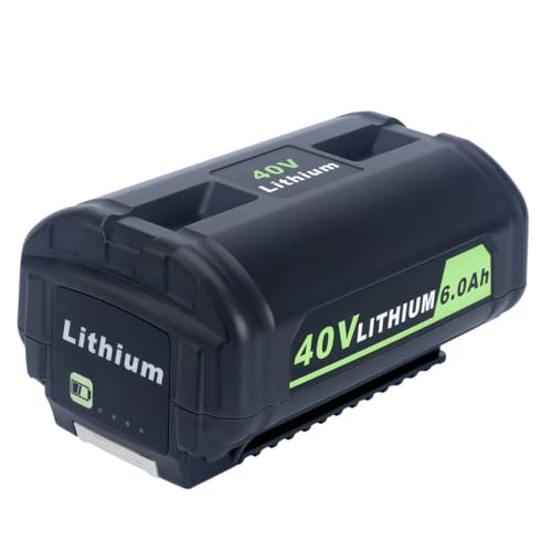 Lasica 6.0Ah 40V Battery
