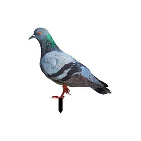 Statue de pigeon Yhenlovtt Cover
