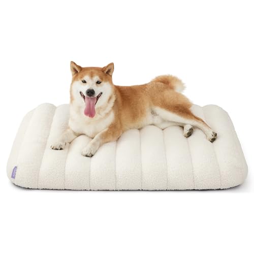 Lesure Cute Orthopedic Dog Bed Medium Size Dog, Waterproof Chic