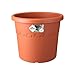 Price comparison product image Elho Algarve Cilindro 25 - Flowerpot - Terra - Outdoor - Ø 24.5 x H 20.5 cm, Tone Red