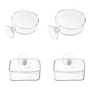 Gamberi Da Alimentazione Ciotole Acrilico Pesci Alimentazione Vassoio Acrilico Rotondo Quadrato Chiaro Serbatoio Serbatoio Alimentazione Piatti Con Ventose 4pcs