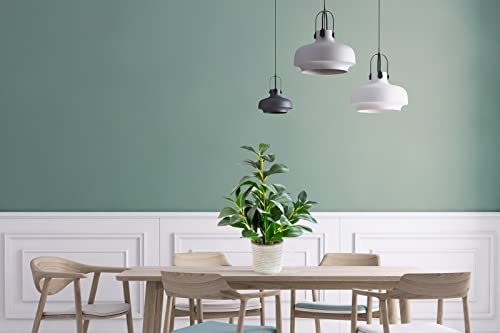 Alphaacc 16 Inch Artificial Potted Plants Indoor Office Desk Faux Peperomia Leaf Ficus Plant Realistic Small Fake Farmhouse Plants For Home Kitchen Bathroom Bedroom Decor #TOP2