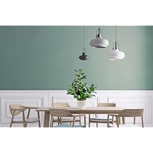 AlphaAcc 16 inch Artificial Indoor Plants Office Desk Faux Plant Peperomia Leaf Ficus Plant Realistic Small Fake Farmhouse Plants for Home Kitchen Bathroom Bedroom Evergreen Decor AlphaAcc 16 inch Artificial Indoor Plants Office Desk Faux Plant Peperomia Leaf Ficus Plant Realistic Small Fake Farmhouse Plants for Home Kitchen Bathroom Bedroom Evergreen Decor