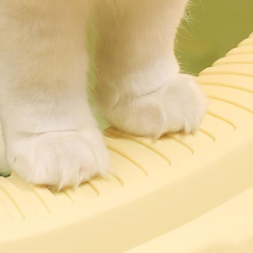 Caja de arena para gato con pala, bandeja plástica abierta miniatura 5