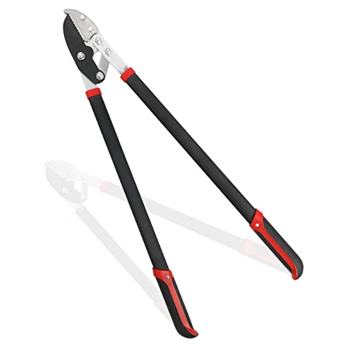 The 10 Best Tree Loppers Reviews & Comparison Glory Cycles