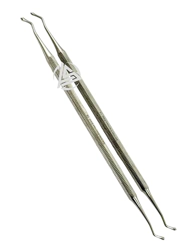 2 Piece - Acorn Burnisher #21 Amalgam Carving Instrument Dental Burnishers Dental Restorative Instruments - German Stainless