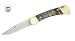 Buck Knives 110 Rams Horn Folding Hunter Factory Exclusive 110RHSSH