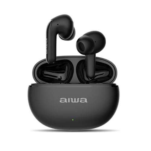 AIWA EB-01