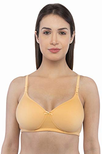 Women's Cotton Non-Padded Wire Free t Shirt Regular Bra-image-21