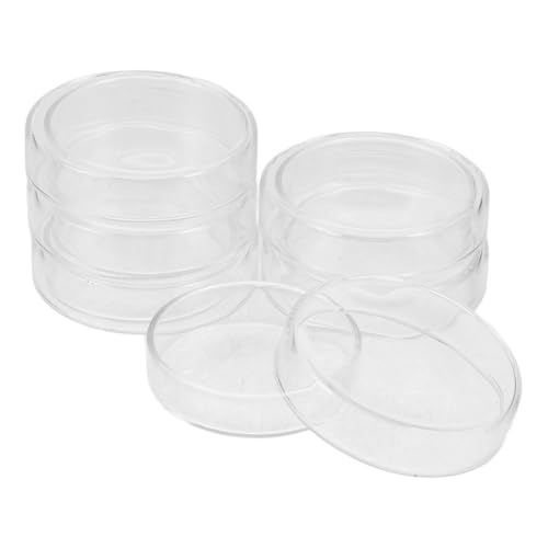 Support pour boîtes de Petri en verre lot de 6 pour laboratoire