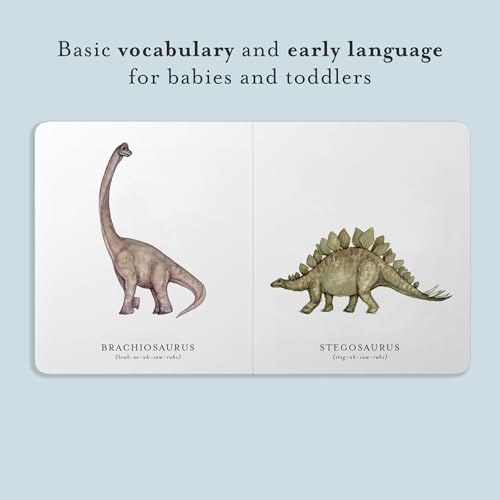Image of Our Little Library Vol. 3: Dinosaurs, Space, Tools, Bugs, and Sports Board Book Set for Boys & Girls (Tabitha Paige Children's Book Series)