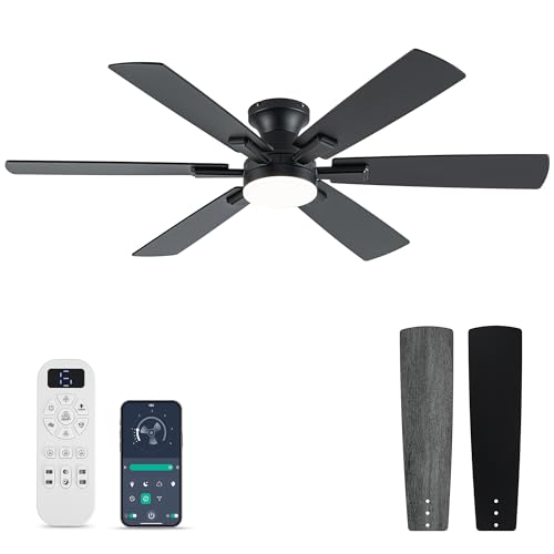 Black Ceiling Fan with Light Remote 6-Speed Dimmable