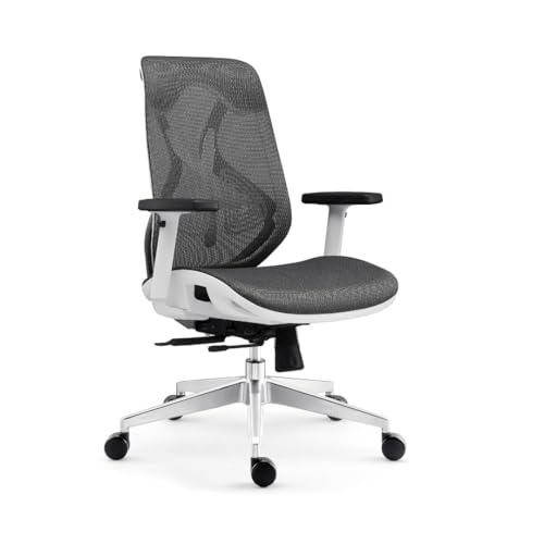 INNOWIN Berlin Ergonomic Medium Back Office Chair & Work from Hom...