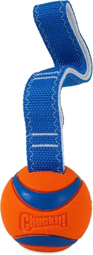 Chuckit! - Ultra TUG Gr. S - Set - 2 x 5 cm