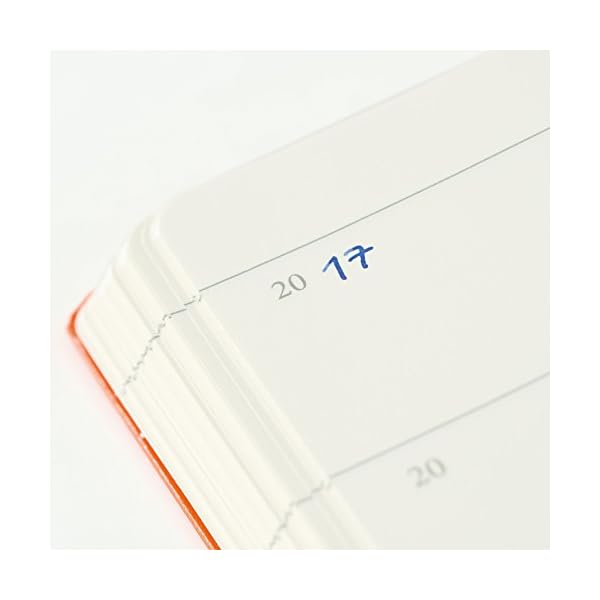 LEUCHTTURM1917 355276 Some lines a day, 5-Jahres-Buch Medium (A5), Nordic Blue – Bild 4