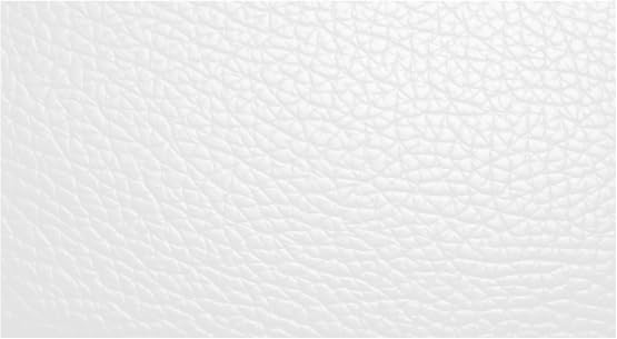 Leather Furniture Restorer Repair Paint in Colours, for sofa, car seats, shoes, hand bag restoring colour (White, 250ml Bottle)