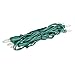 Novelty Lights RetroGlo® LED Mini Lights, 10 Clear Bulbs on Green Wire, 5.5ft with 4