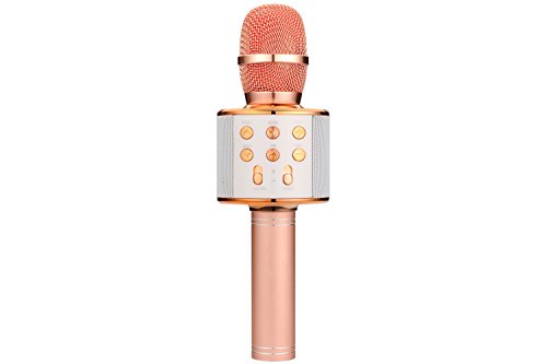 Microphone sans Fil pour karaoké avec Bluetooth connecté au Smartphone, Radio, Micro SD, Lecteur MP3 et USB. Version Italienne avec Manuel Italien Cover